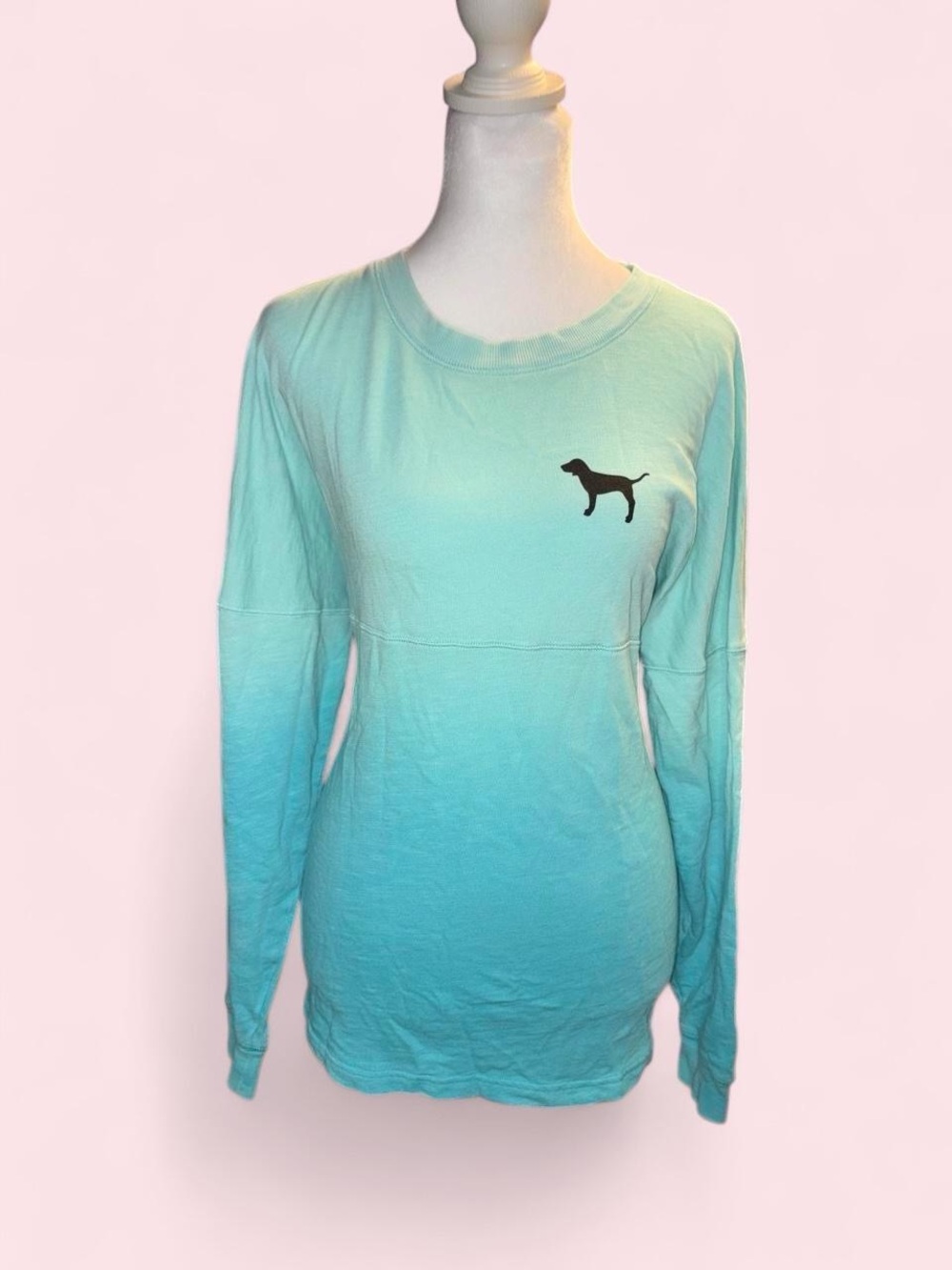 Dog Silhouette Ombre Long-Sleeve Tee - Aqua